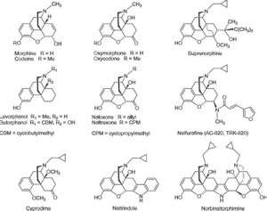 DERIVATIVES OF MORPHINANE