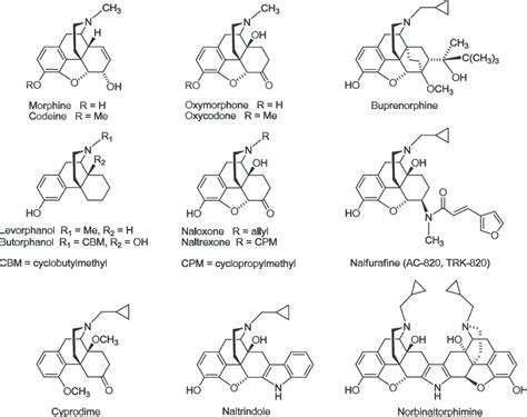 DERIVATIVES OF MORPHINANE