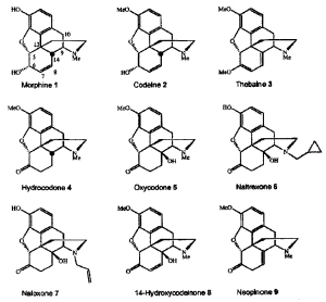 DERIVATIVES OF MORPHINANE