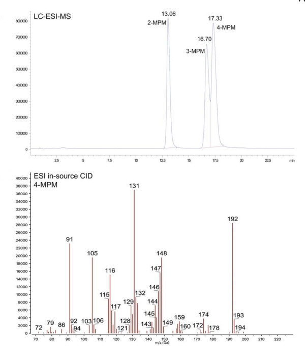 NMR 4-Methylphenmetrazine